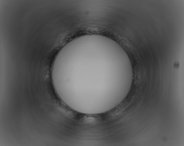 X0000089440706200707131906