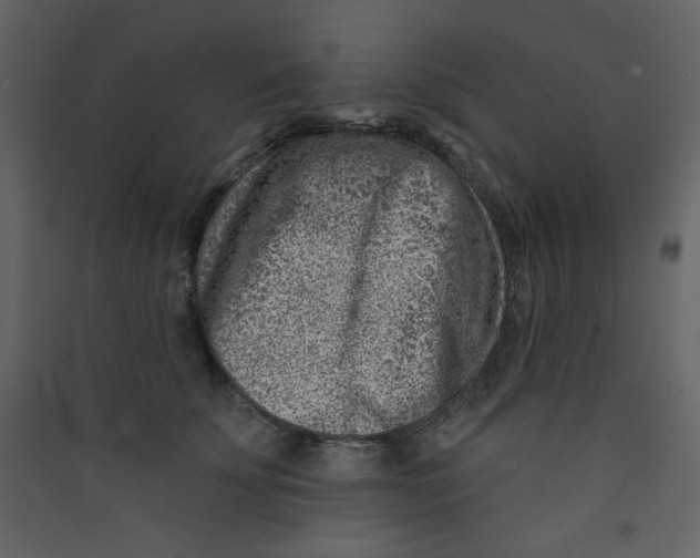 X0000089440707200707131906