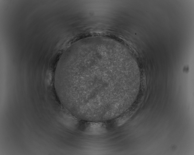 X0000089440709200707131906