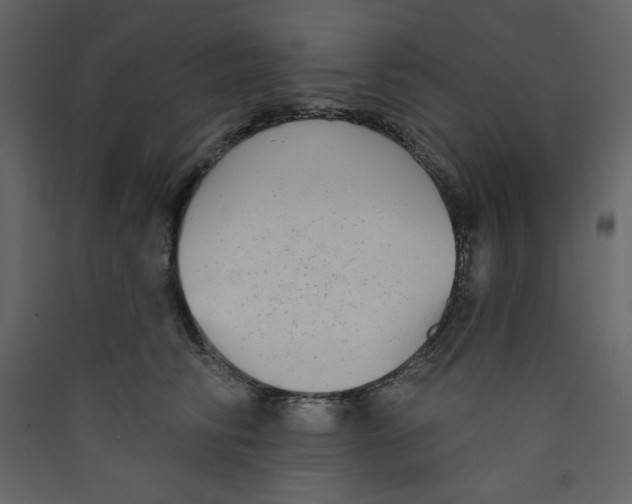 X0000089440710200707131906