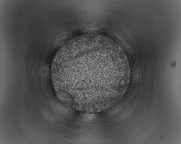 X0000089440711200707131906