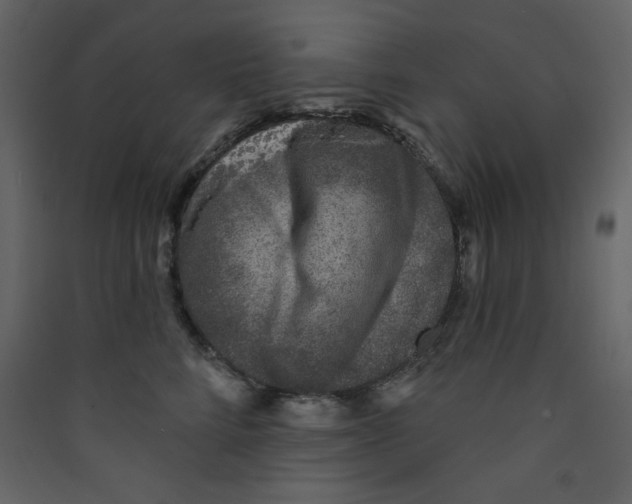 X0000089440712200707131905