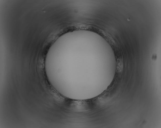 X0000089440713200707131905