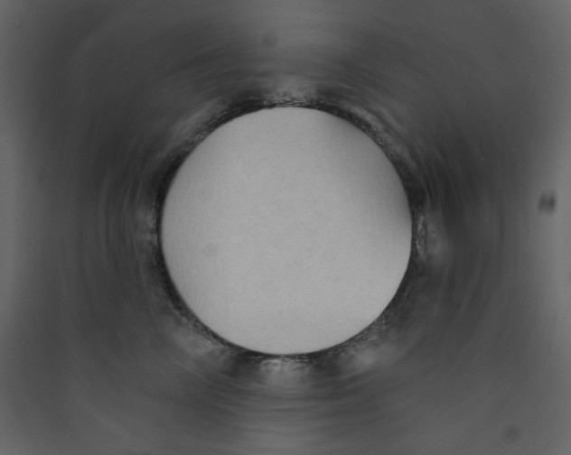 X0000089440714200707131905