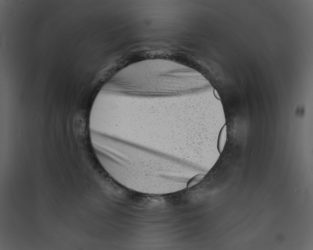 X0000089440715200707131905