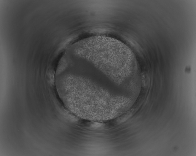 X0000089440718200707131905