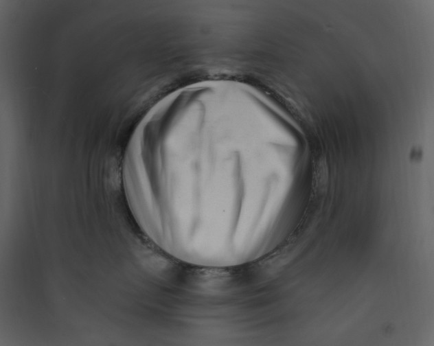 X0000089440719200707131905