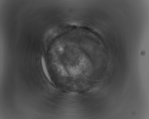 X0000089440720200707131905