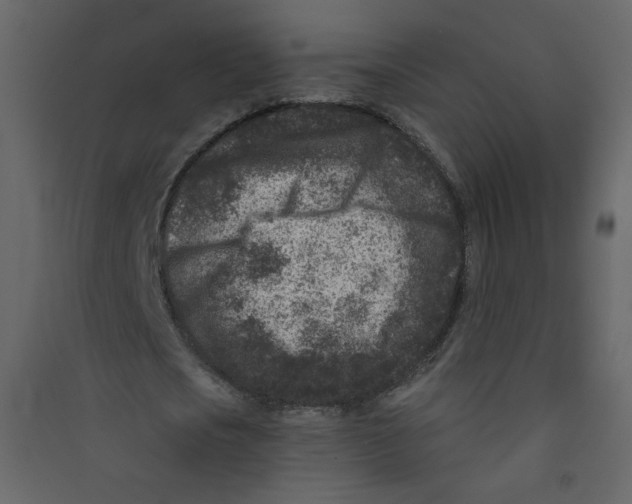 X0000089440721200707131905