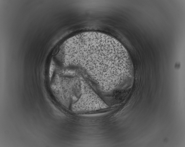 X0000089440722200707131905