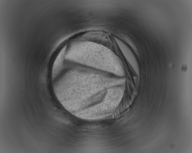 X0000089440724200707131905