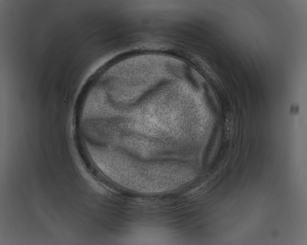 X0000089440726200707131905
