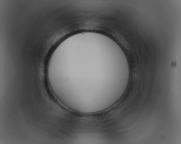 X0000089440727200707131905