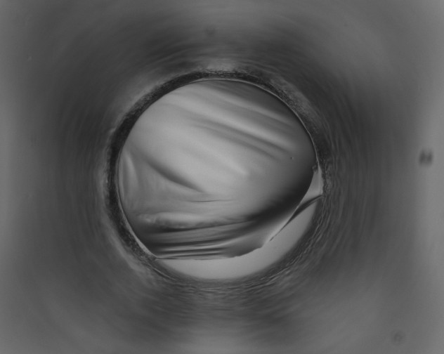 X0000089440728200707131905