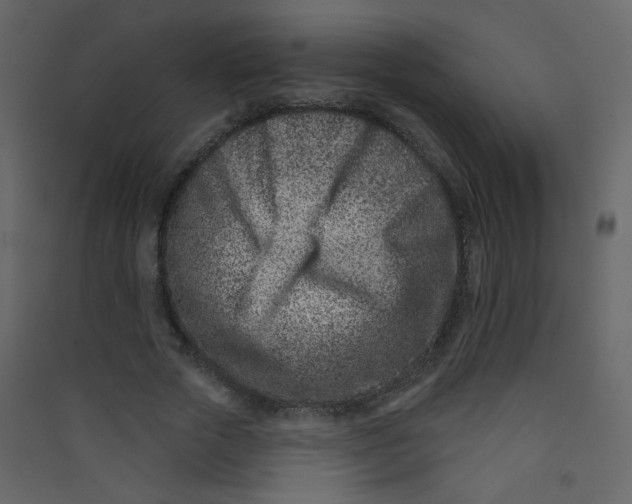 X0000089440729200707131905