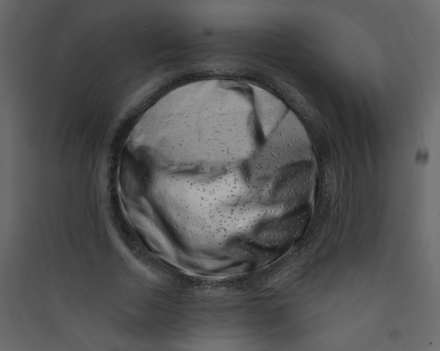 X0000089440730200707131905