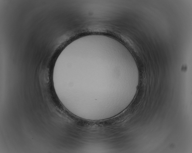 X0000089440731200707131905