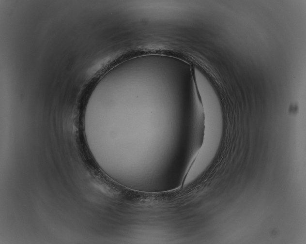 X0000089440732200707131905