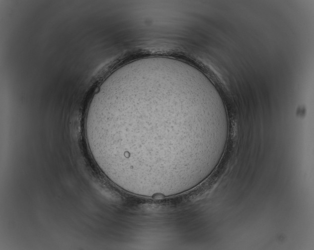 X0000089440733200707131905