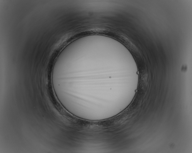 X0000089440734200707131905