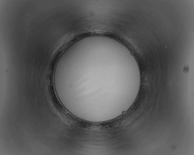 X0000089440738200707131905