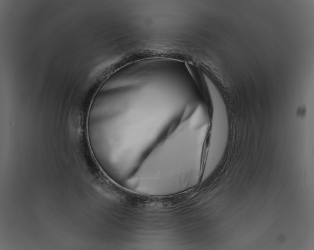 X0000089440740200707131905