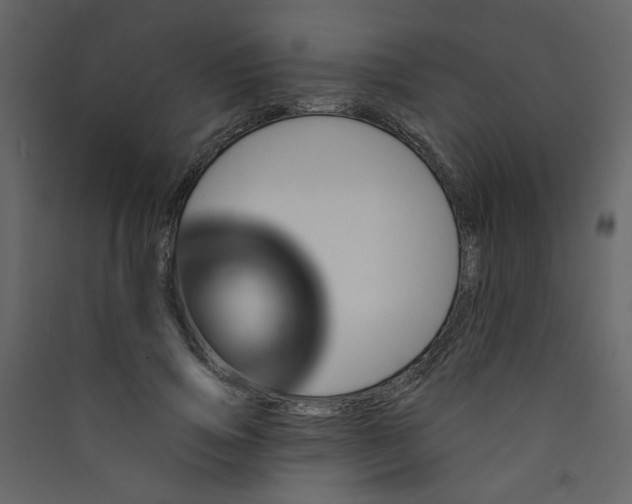 X0000089440741200707131905