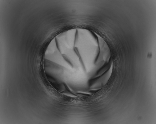 X0000089440742200707131905
