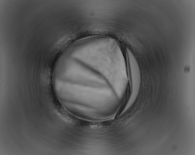 X0000089440744200707131905