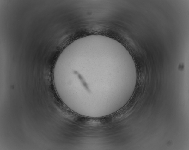 X0000089440749200707131905