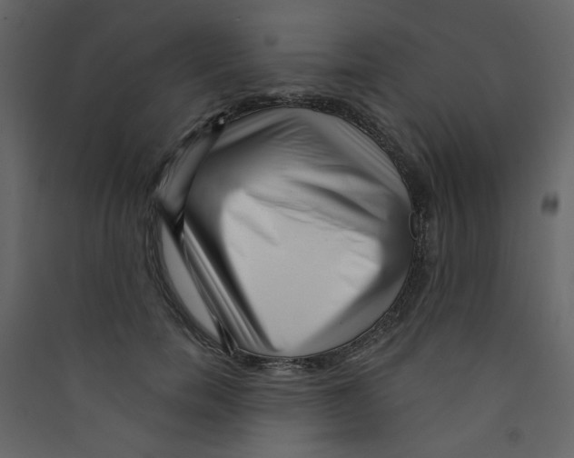 X0000089440750200707131905