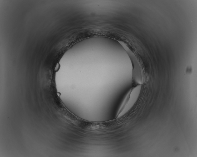 X0000089440752200707131905