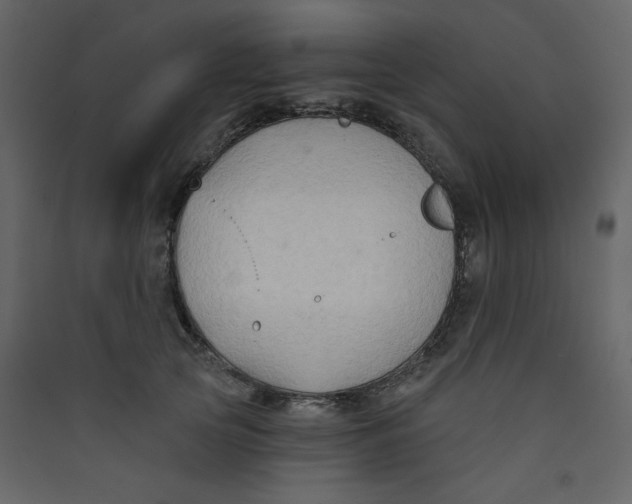 X0000089440753200707131905