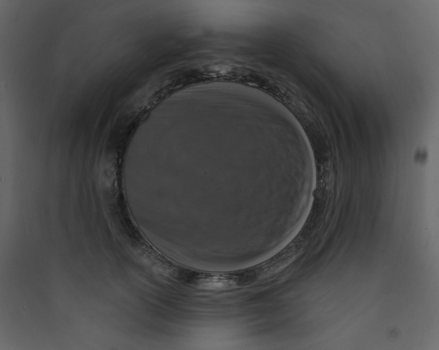 X0000089440754200707131905