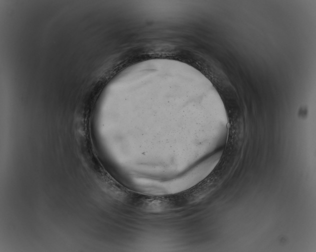 X0000089440755200707131905