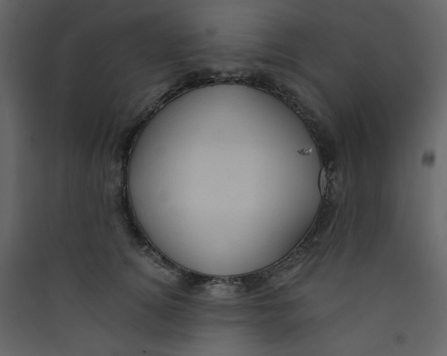 X0000089440756200707131905