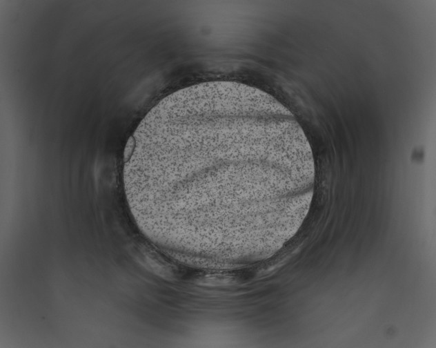 X0000089440758200707131905