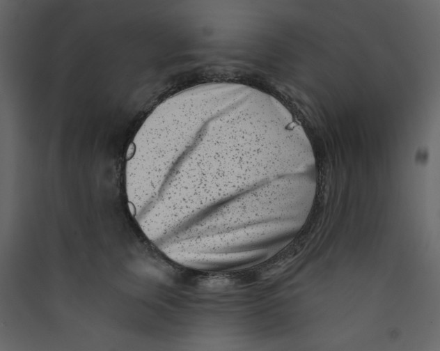 X0000089440759200707131905