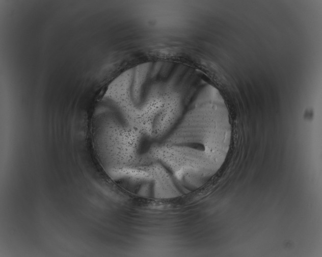 X0000089440760200707131905