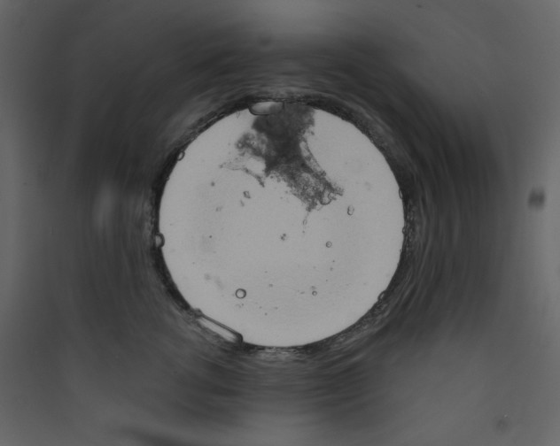 X0000089440762200707131905