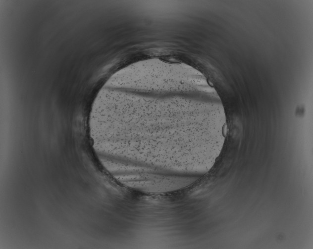 X0000089440763200707131905