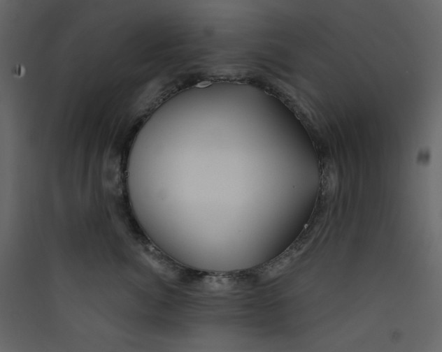 X0000089440764200707131905