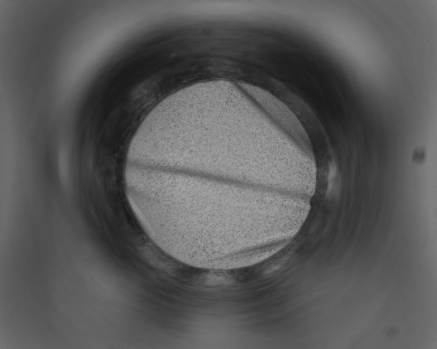 X0000089440765200707131905