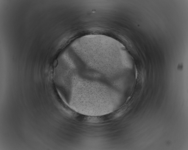 X0000089440766200707131905