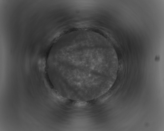 X0000089440767200707131905
