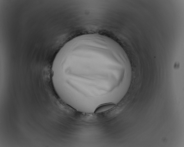 X0000089440768200707131905