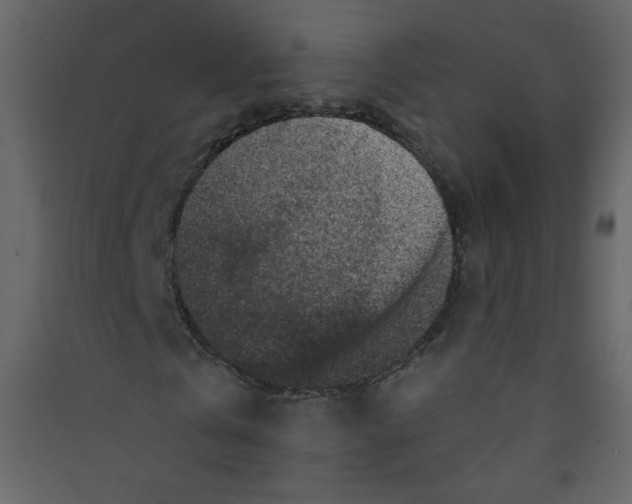X0000089440769200707131905