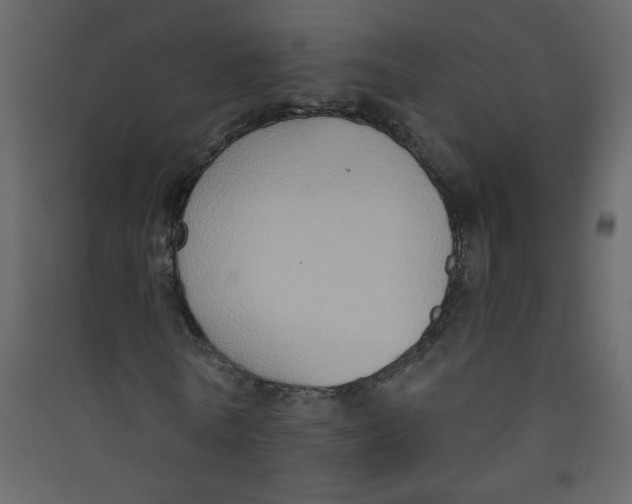 X0000089440770200707131905