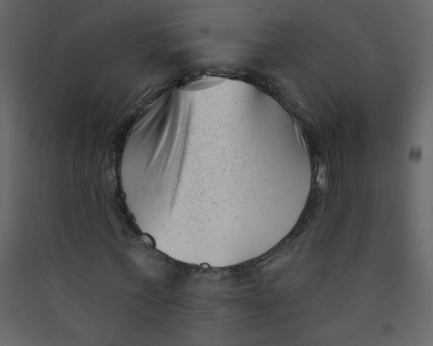X0000089440771200707131905