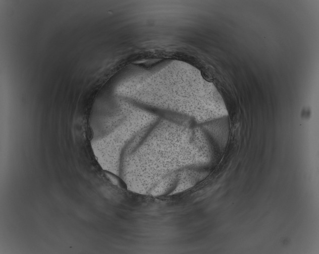 X0000089440772200707131905